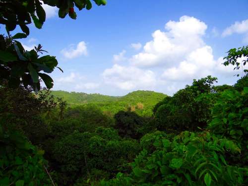 Western Ghats Mountains Nature Lush Green Forest