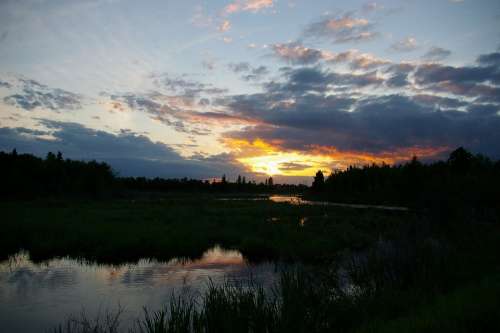 Wetlands Sunset Water Trees Clouds Sky Reflection