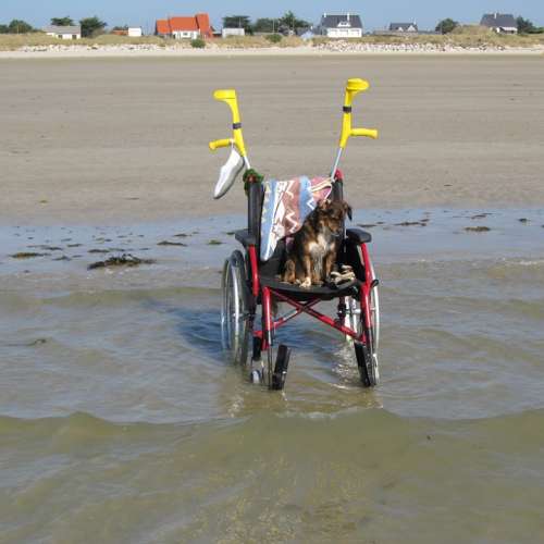 Wheelchair Beach Vacations Water Walker
