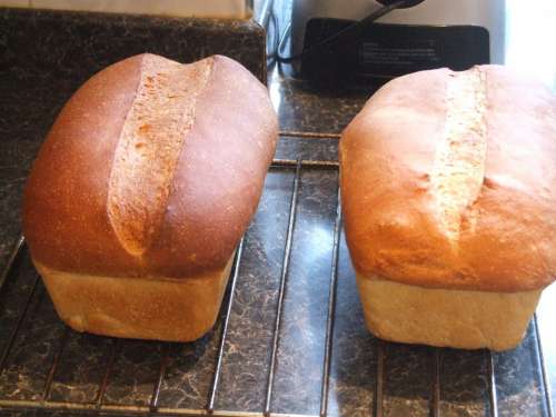 White Bread Loaf Food Fresh Healthy Wheat Bakery