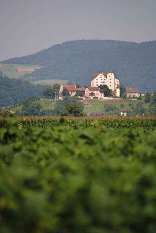 Wildegg Castle Aargau Switzerland Landscape