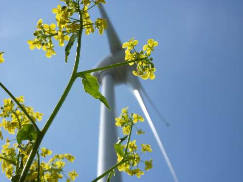 Wind Pinwheel Eco Electricity Energy Energy Supply