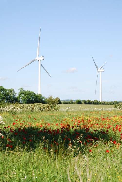 Wind Turbines Farmland Environmentally Friendly