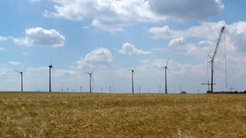 Wind Turbine Cornfield Assembly