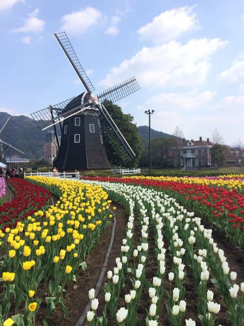 Wind Turbine Spring Natural