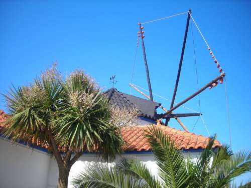 Windmill South Roof Portugal Garden Yucca