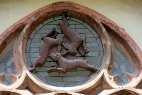 Window Animal Hare Hare Window Paderborn