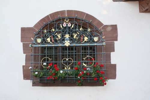 Window Building House Wall Grid Plant Flowers