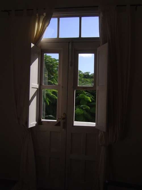 Window Backlight Sky Vegetation Sun Doors White