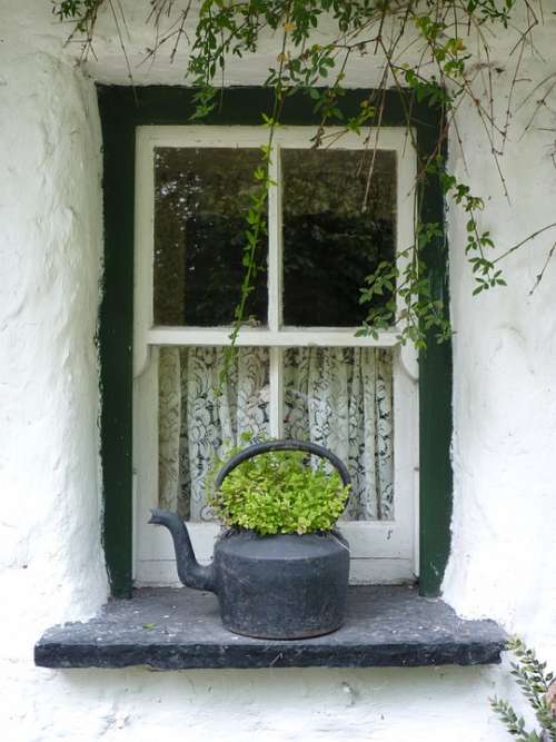Window Irish Ireland Green Flower Window Sill