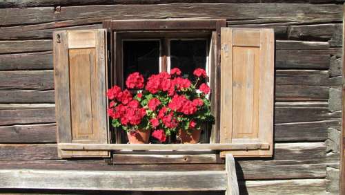 Window Flowers House Wood Alpine Salzburg