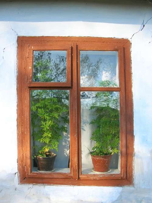 Window House Cottage Old