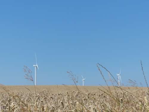 Windräder Wind Park Wind Power Wind Energy Summer