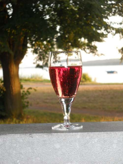 Wine Romance Wine Glass Drink Red Alcohol