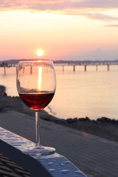 Wine Beach Sunset Sun Relax Enjoy Benefit From