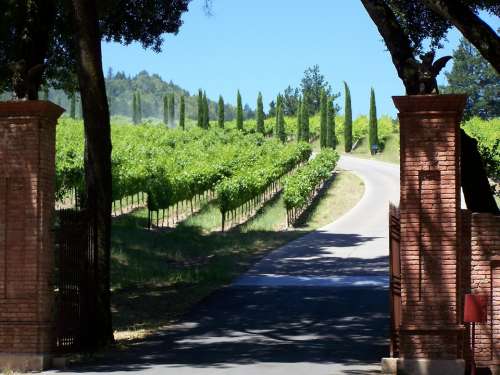 Winery Napa Valley California Wine Country