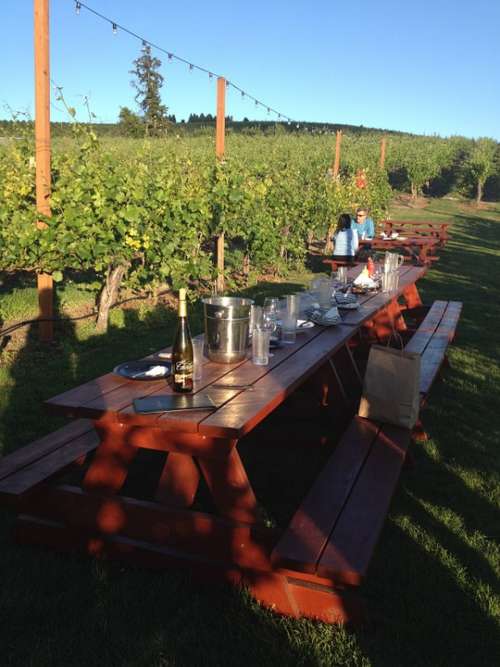 Winery Summer Dine Picnic Wine Vineyard