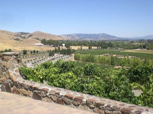 Winery Sonoma California