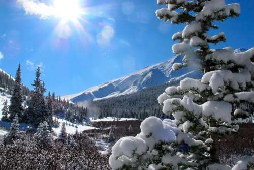 Winter Mountains Snow View Morning Sun Trees