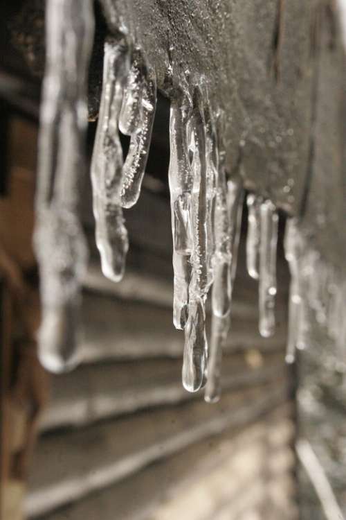 Winter Ice Icicle Frozen Christmas December Cold