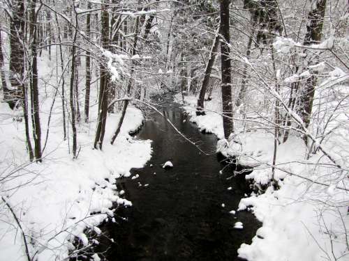 Winter Landscape White Forest Bach