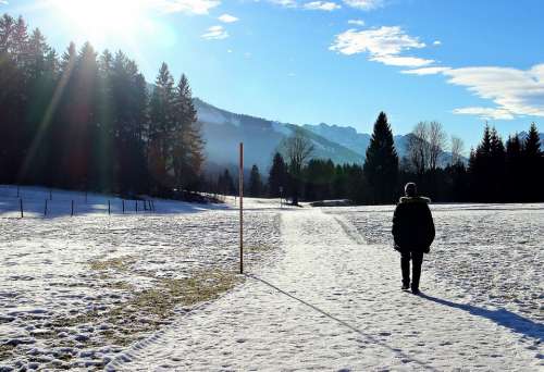 Winter Wintry Snow Away Walk Person Human