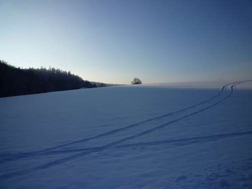 Winter Snow Cold Traces White Snow Magic