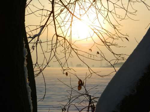 Winter Sunset Tree Branches Snow Winter Mood