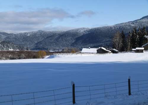 Winter Season Cold Snow Icy Landscape Scenery