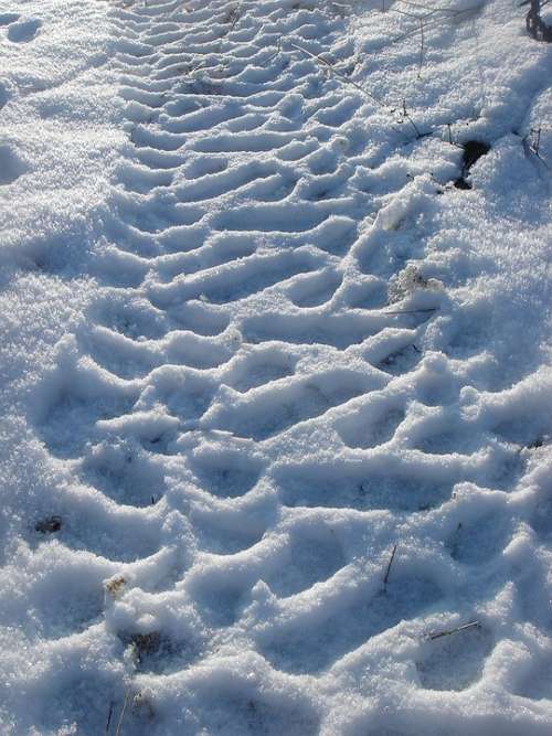 Winter Snow Print Path