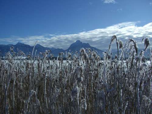 Winter Snow Mountain Panorama Alpine Lake Reed