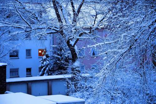 Winter Snow Trees House Garages Ruhr Area