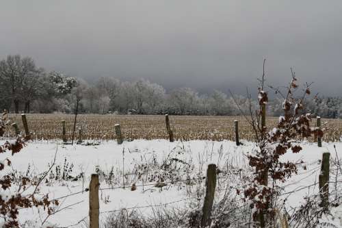 Winter Landscape Pasture Fence Arable Field Snowy