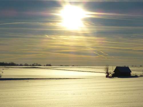 Winter Snow Landscape Snowy Wintry Sun