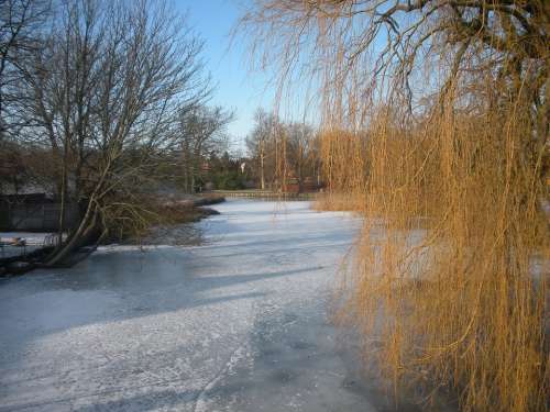 Winter Frost Ice Moat Trees Nature Landscape
