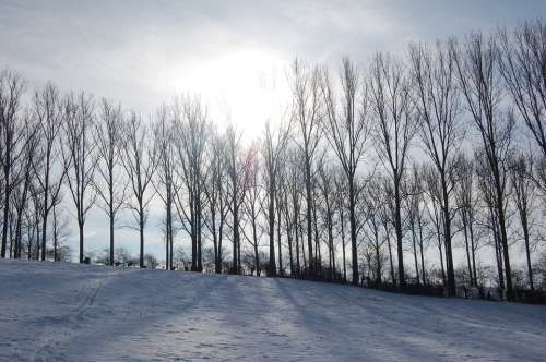 Winter Landscape Snow Nature