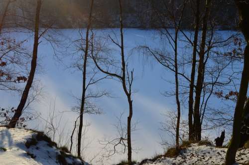 Wintry Geforener Lake Winter Forest