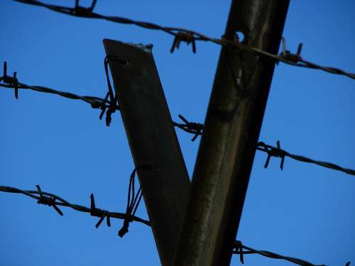 Wire Barbed Wire Fence Caught Pointed Sky Thorn