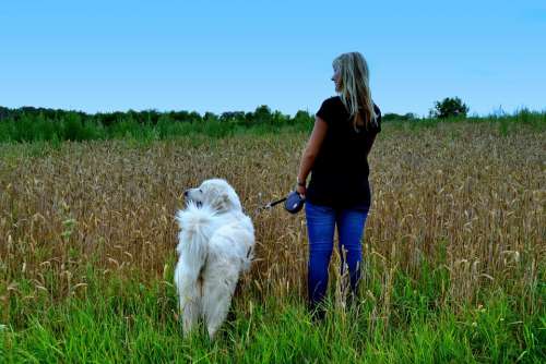 Woman Dog Nature To Take The Dog Out Walk Person