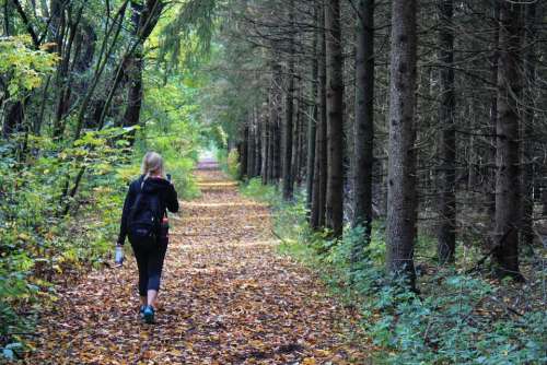 Woman Girl Hiker Backpacker Trek Path Adventure