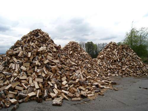 Wood Piles Sky Blue Tree Cloud