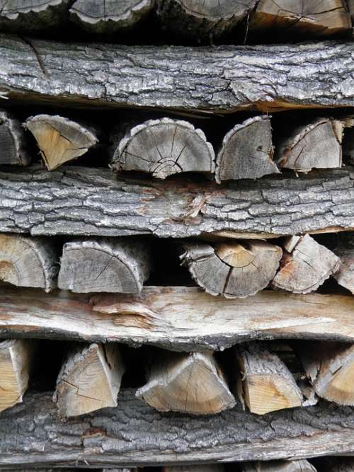 Wood Stump Dry Wood