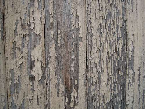 Wood Old Weathered Worn Bleached Flaking