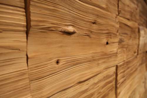 Wood Wall Annual Zone Wrinkles