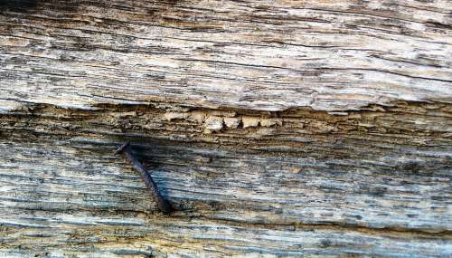 Wood Nail Rusty Wooden Timber Construction Plank