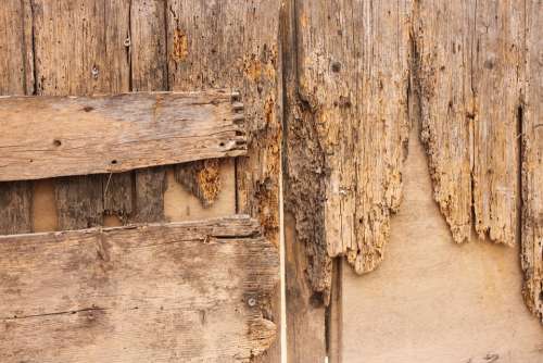 Wood Wood Worm Door Input Security Capping Old