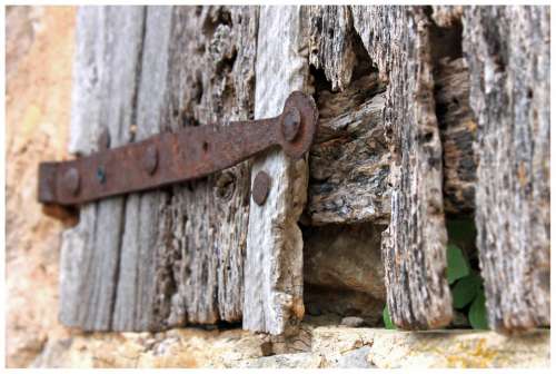 Wood Wood Worm Hinge Rots Door Input Security