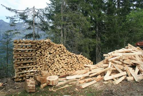Wood Pile Forest Timber Industry Environment