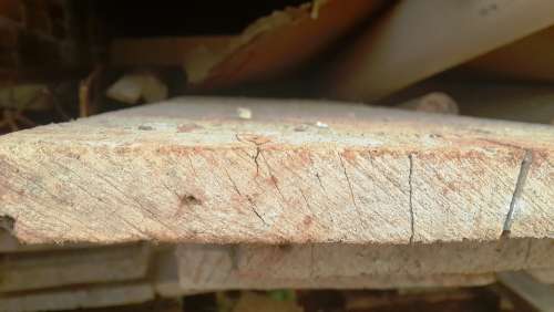 Wood Tabua Construction