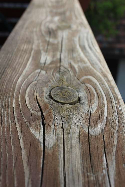 Wood Angel Lata Board Rings